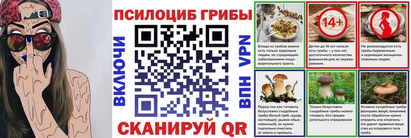 Псилоцибиновые грибы Cubensis  мега сайт  Староминская 